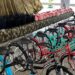 Lloró: entrega de bicicletas en Boraudo