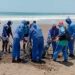 Culminan la disposición final del cachalote encallado en Bahía Solano