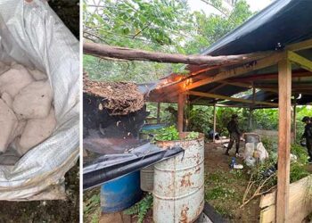 Carmen del Darién, Chocó: destruyen laboratorio de coca en Camelias