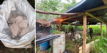 Carmen del Darién, Chocó: destruyen laboratorio de coca en Camelias