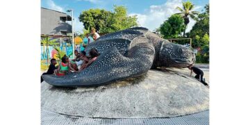 Acandí, Chocó: desfile en honor a la tortuga caná
