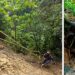 Derrumbe en la vía Quibdó-Medellín arrastró un vehículo a un precipicio