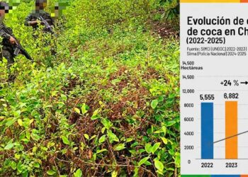 Cultivos coca Chocó
