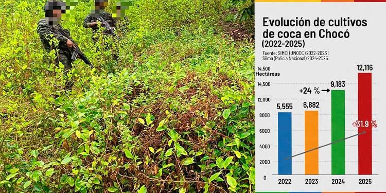Cultivos coca Chocó