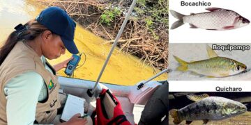 Chocó: El IIAP evaluó la emergencia ambiental de la ciénaga Remacho, en Murindó, e hizo recomendaciones