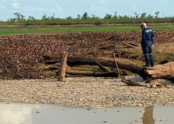 Murindó, bajo Atrato: mortandad masiva de peces en la ciénaga Remacho