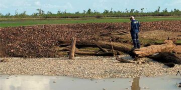 Murindó, bajo Atrato: mortandad masiva de peces en la ciénaga Remacho