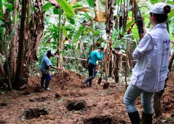 Chocó: Una pista ciudadana permitió a la Unidad de Búsqueda recuperar un cuerpo en el Alto Baudó