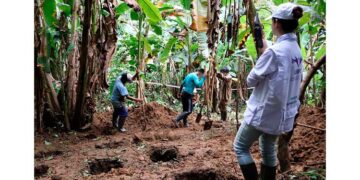 Chocó: Una pista ciudadana permitió a la Unidad de Búsqueda recuperar un cuerpo en el Alto Baudó