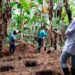Chocó: Una pista ciudadana permitió a la Unidad de Búsqueda recuperar un cuerpo en el Alto Baudó