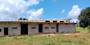 Otro elefante blanco en el Chocó: la planta de beneficio animal de Unguía