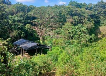 Río Iró, Chocó: destruyen laboratorio de coca en Viro Viro