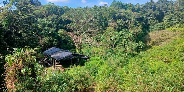 Río Iró, Chocó: destruyen laboratorio de coca en Viro Viro