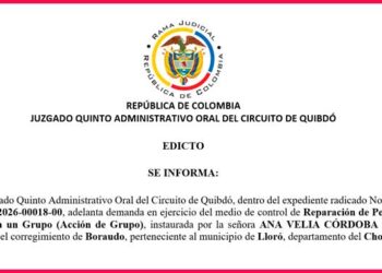 Chocó Boraudo Lloró