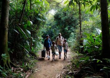 Chocó, uno de los territorios más golpeados por la crisis humanitaria en 2025: CICR