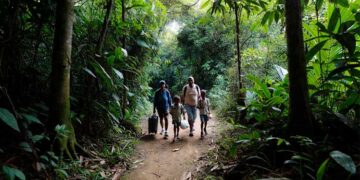 Chocó, uno de los territorios más golpeados por la crisis humanitaria en 2025: CICR