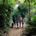 Chocó, uno de los territorios más golpeados por la crisis humanitaria en 2025: CICR