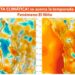 EL Chocó entra en alerta preventiva ante alta probabilidad del Fenómeno El Niño en el segundo semestre del 2026
