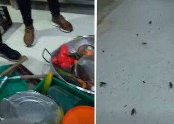 Chocó: Cierre preventivo de la cocina del hospital San Francisco de Quibdó por invasión masiva de cucarachas