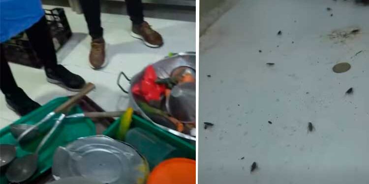 Chocó: Cierre preventivo de la cocina del hospital San Francisco de Quibdó por invasión masiva de cucarachas