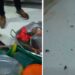 Chocó: Cierre preventivo de la cocina del hospital San Francisco de Quibdó por invasión masiva de cucarachas
