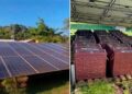 Chocó: Grave problema ambiental en Triganá, Acandí