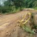 Bahía Solano, Chocó: personero denuncia que la pavimentación de la vía Ciudad Mutis-El Valle lleva más de dos meses suspendida