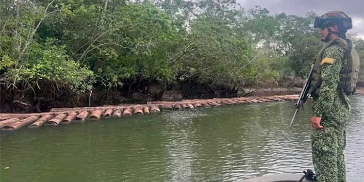 Bajo Baudó, Chocó: incautan 1.040 metros cúbicos de madera