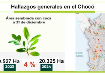 Según oficina de la ONU, siguen creciendo los cultivos de coca en el Chocó