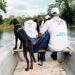 Riosucio: recuperan tres cuerpos de personas desaparecidas en la Cuenca del Río Salaquí
