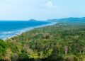 Chocó: Proyecto de Resolución Plan de Manejo SFF Acandí, Playón y Playona