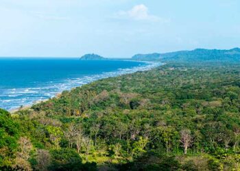Chocó: Proyecto de Resolución Plan de Manejo SFF Acandí, Playón y Playona