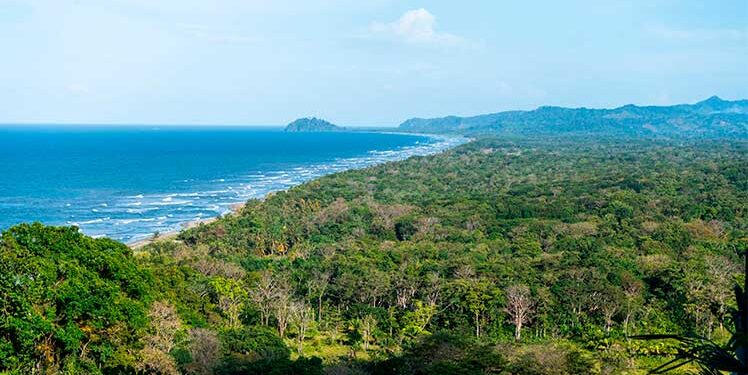 Chocó: Proyecto de Resolución Plan de Manejo SFF Acandí, Playón y Playona