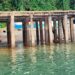 Tribunal del Chocó ordena reposición total del muelle de cabotaje de Bahía Solano