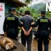 Nuquí, Chocó: hombre imputado con el delito de muerte de un perro