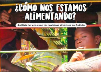 Chocó: Alimenación y proteínas silvestres en Quibdó