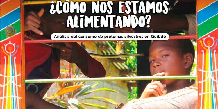 Chocó: Alimenación y proteínas silvestres en Quibdó