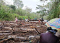 Riosucio, Chocó: taponamiento en el río Truandó