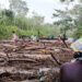 Riosucio, Chocó: taponamiento en el río Truandó