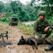 Ataque del ELN deja tres militares heridos y un canino muerto en zona rural de Sipí, Chocó
