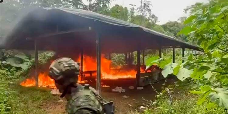 Destruyen laboratorio de coca en Carmen del Darién, Chocó