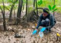 Bahía Solano, Chocó, convierte sus manglares, playas y aguas en aulas para una nueva generación de investigadores