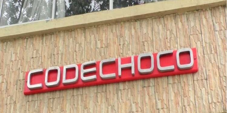 Chocó: Codechocó abre proceso para elegir nuevo director