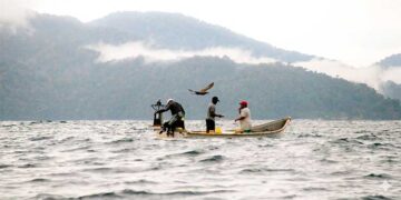 Grupo Nutresa busca mercados para pescado de Bahía Solano, Juradó y Nuquí