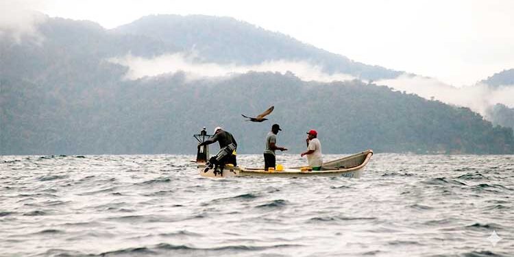 Grupo Nutresa busca mercados para pescado de Bahía Solano, Juradó y Nuquí