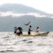 Grupo Nutresa busca mercados para pescado de Bahía Solano, Juradó y Nuquí