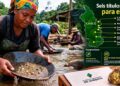 Entregan seis títulos mineros en el Chocó